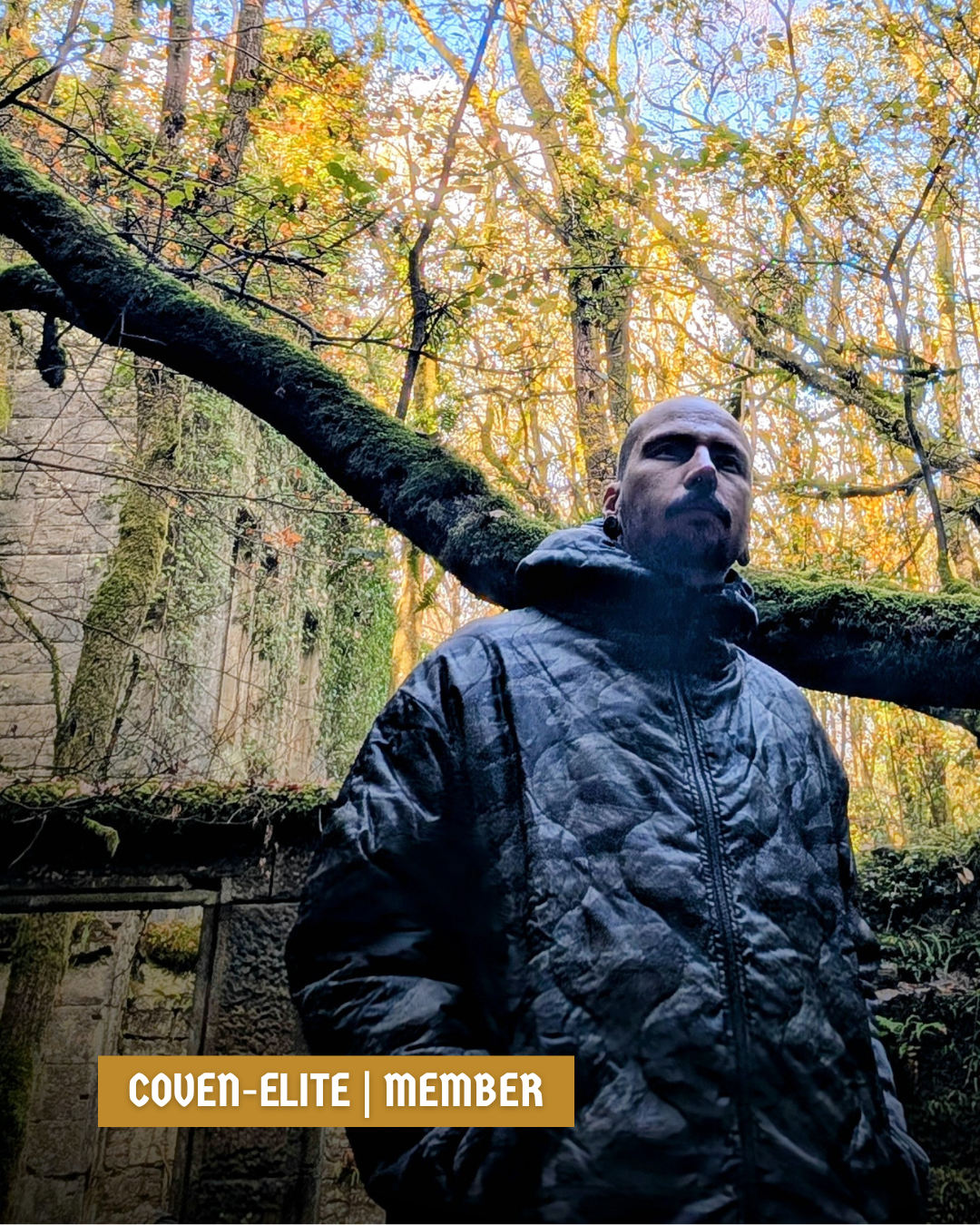 Woobie Jacket V2.0 - Tigerstripe black / aeon black