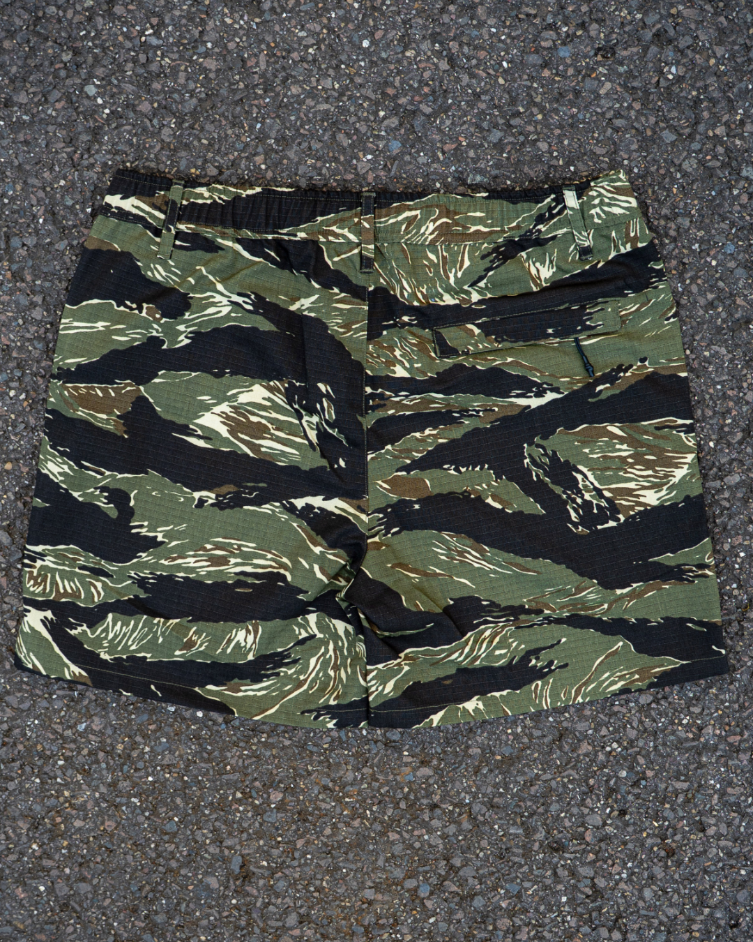 Cutthroat Shorts - tigerstripe