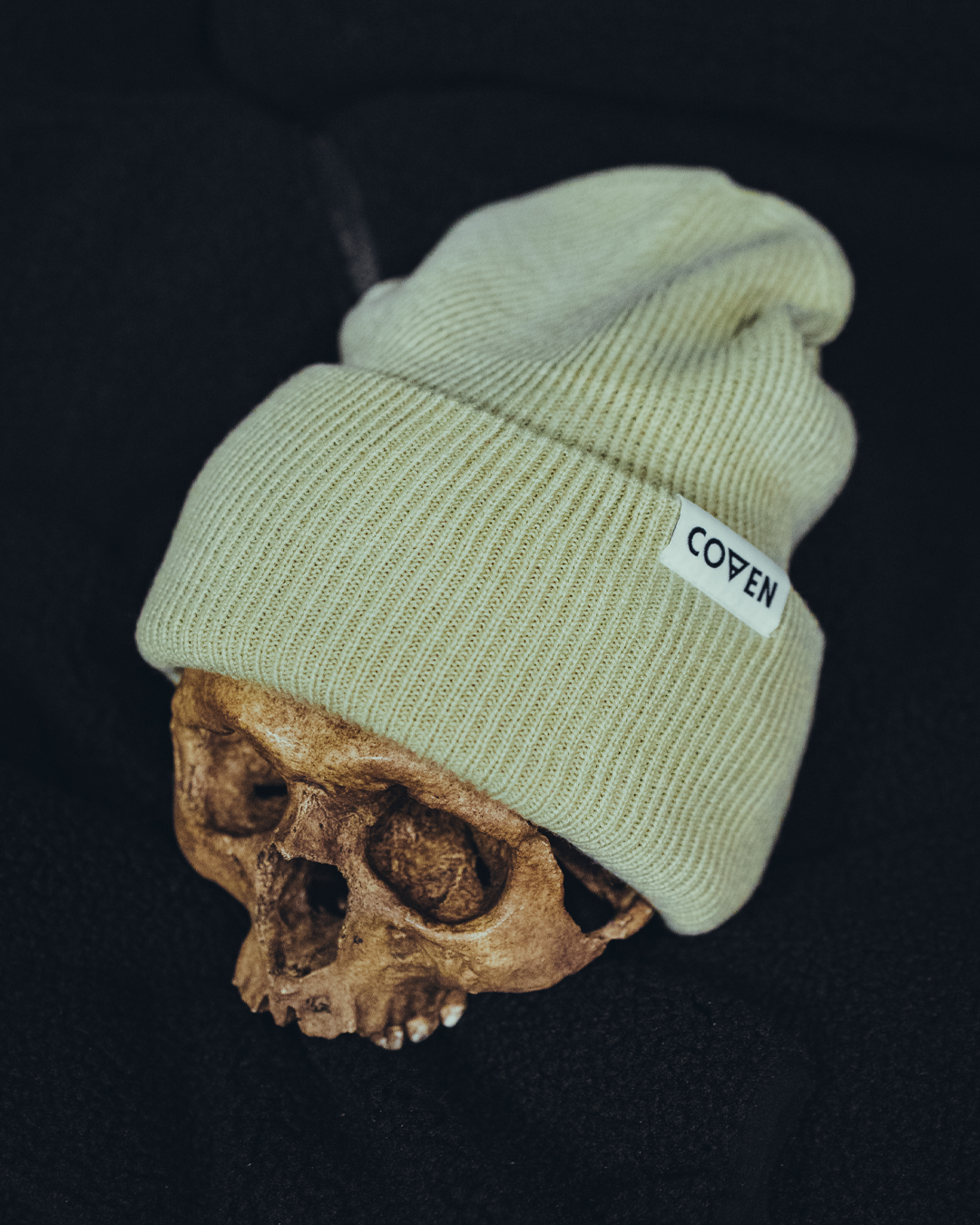 Chilluminati - Beanie - desert sermon